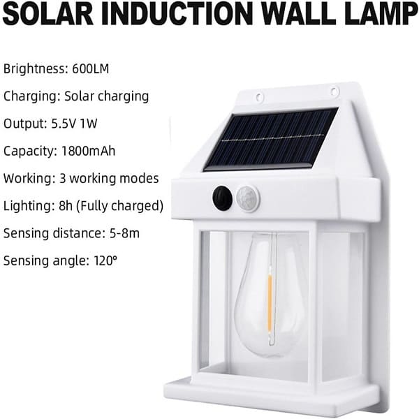 Combo :: Water Color+ Foot Massager + Solar Wall Lamp + Shoe Wipes Cleaner - My Store