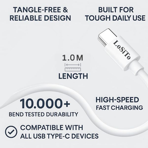 LoSiTo TYM Series 100W Fast Charging Type-C Cable